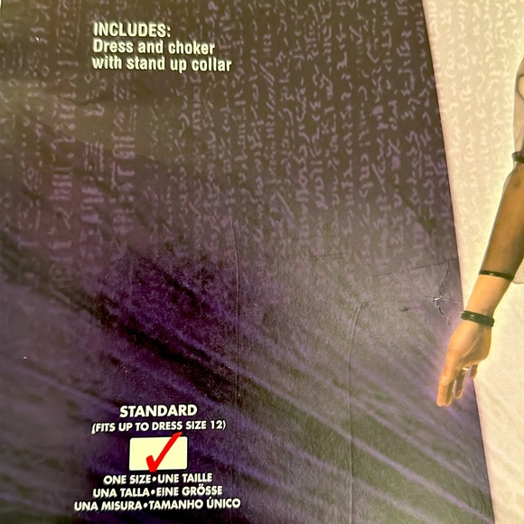 Gothic Priestess Halloween Costume - Picture 2 of 4